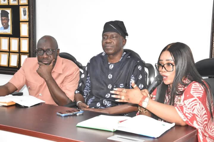 LASG DECRIES ACTIVITIES OF LEGAL PRACTITIONERS ACTING AS COMMISSION AGENTS BETWEEN PROPERTY OWNERS, CLIENTS