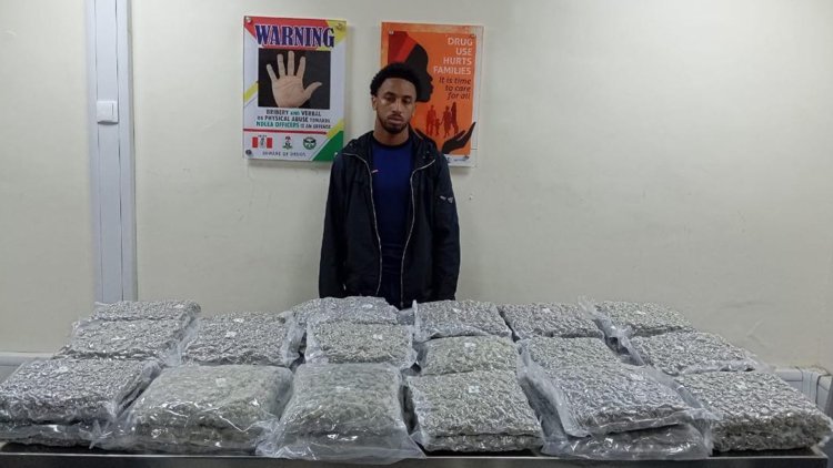 NDLEA Nabs 22-year-old Briton ex-convict with large drug shipment, Intercepts fuel tanker, 3 vehicles with 3, 047kg Skunk in Niger, 775 litres of codeine in Kano