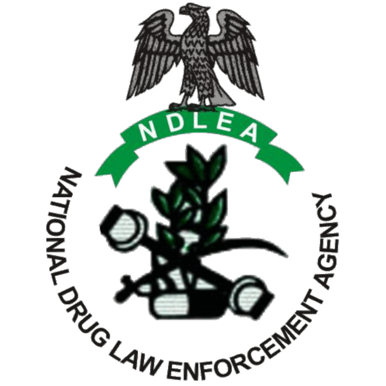 Tinubu Declines Assent To Amended NDLEA Act.