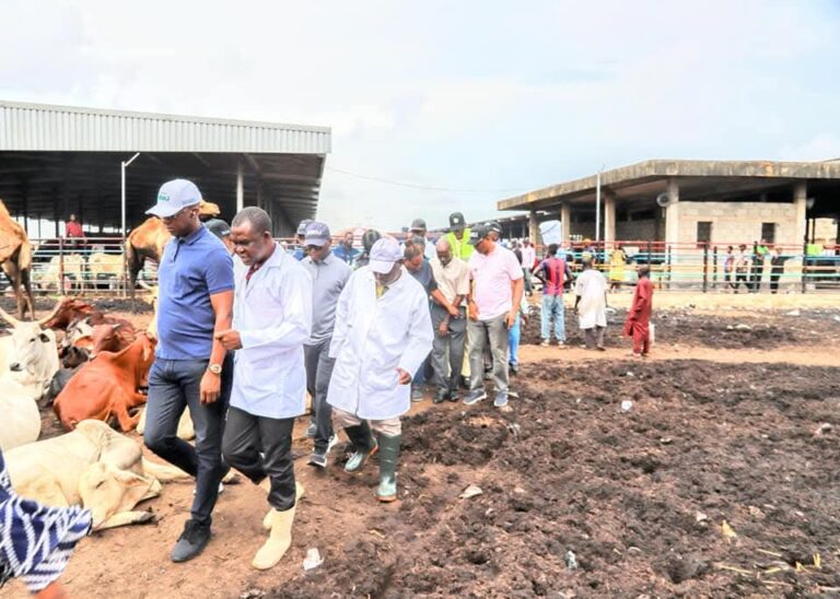LASG SHUTS OKO -OBA ABATTOIR OVER UNSANITARY ACTIVITIES, WASTE MISMANAGEMENT