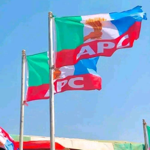 Group Alleges Marginalization in Lagos APC