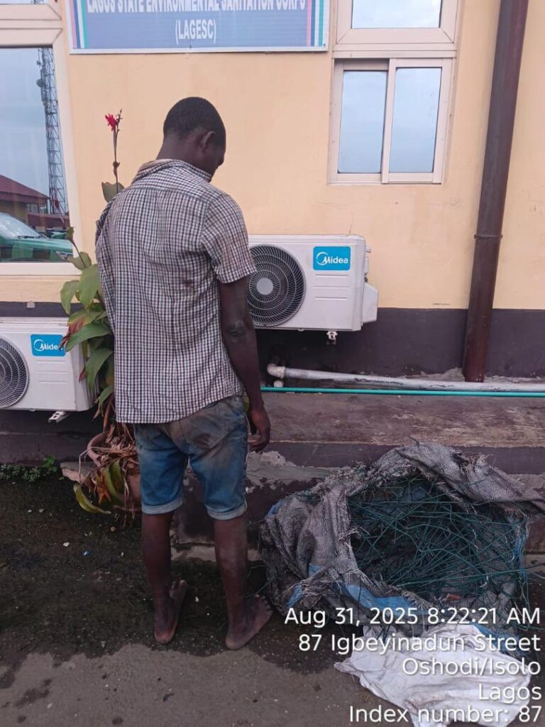 Vandal Nabbed While Stealing Fence Wire at Ojota Park
