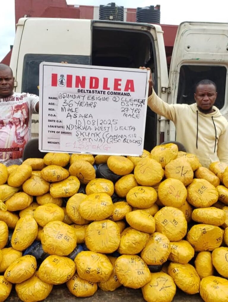 NDLEA Arrests Notorious Drug Kingpin After Three-Year Manhunt, Seizes Multi-Billion Naira Narcotics Nationwide