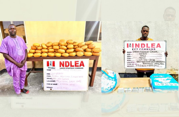 NDLEA Arrests Ex-Ibeju-Lekki Councillor With 40kg Skunk