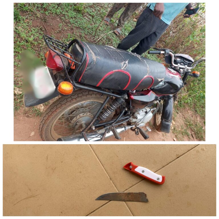 Ogun Police Arrest Suspected Killer of Motorcyclist in Igbesa
