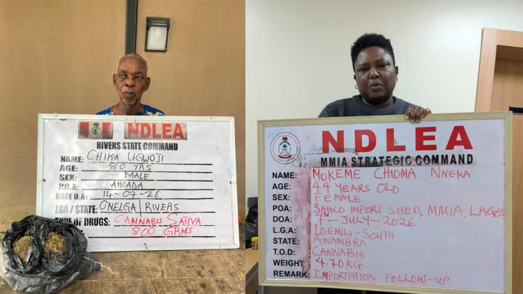 NDLEA Seizes 2.19 Million Tramadol Pills Bound for Kano