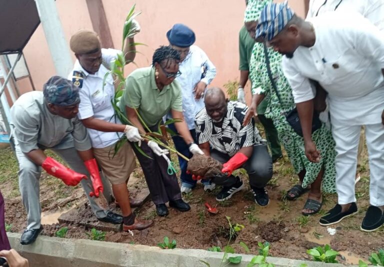Ikeja LG Chairman Boosts Greening with 1,000 Trees