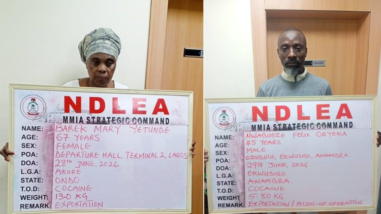 NDLEA Arrests 67-Year-Old UK-Based Caregiver with Cocaine Disguised as Plantains