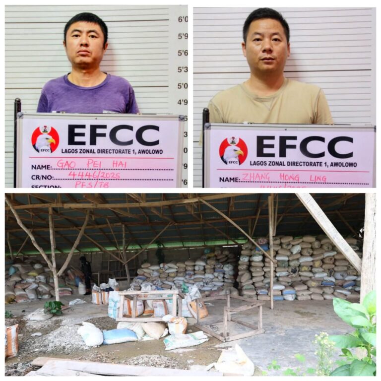 Court Jails Two Chinese Five Years for Illegal Mining in Lagos