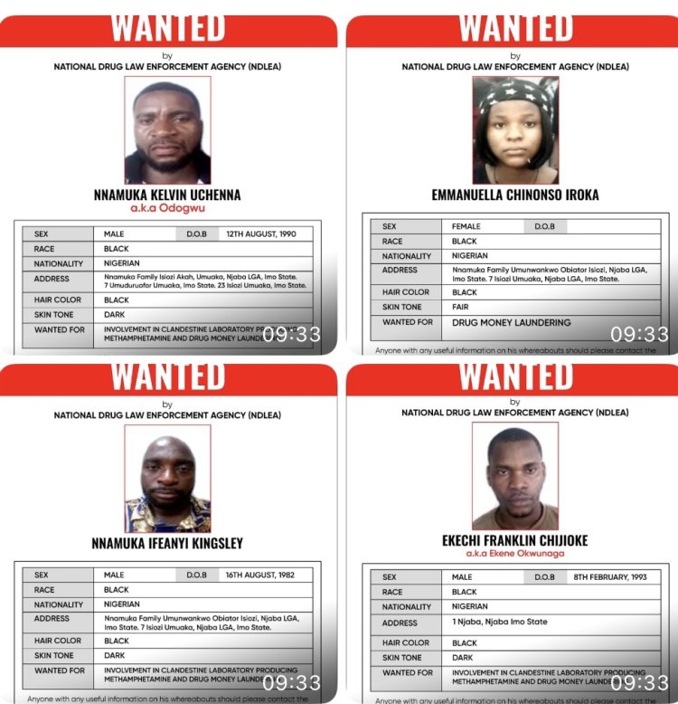 NDLEA Declares Alleged Drug Kingpin, Three Others Wanted, Freezes ₦9.84bn