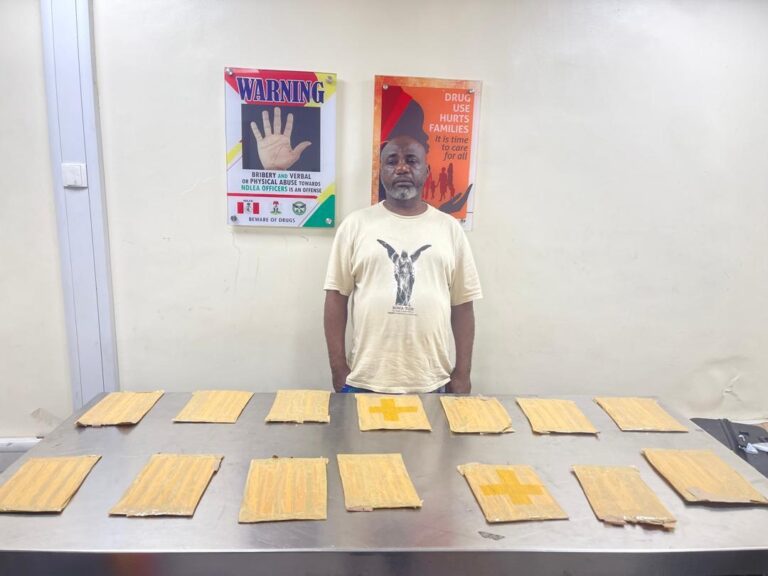 NDLEA Arrests Balogun Market Trader, Seizes Drugs Worth Over ₦9.3bn
