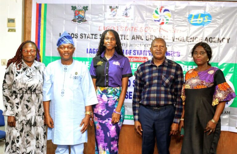 Lagos Seeks Reliable Data to Strengthen Response to Domestic, Sexual Violence